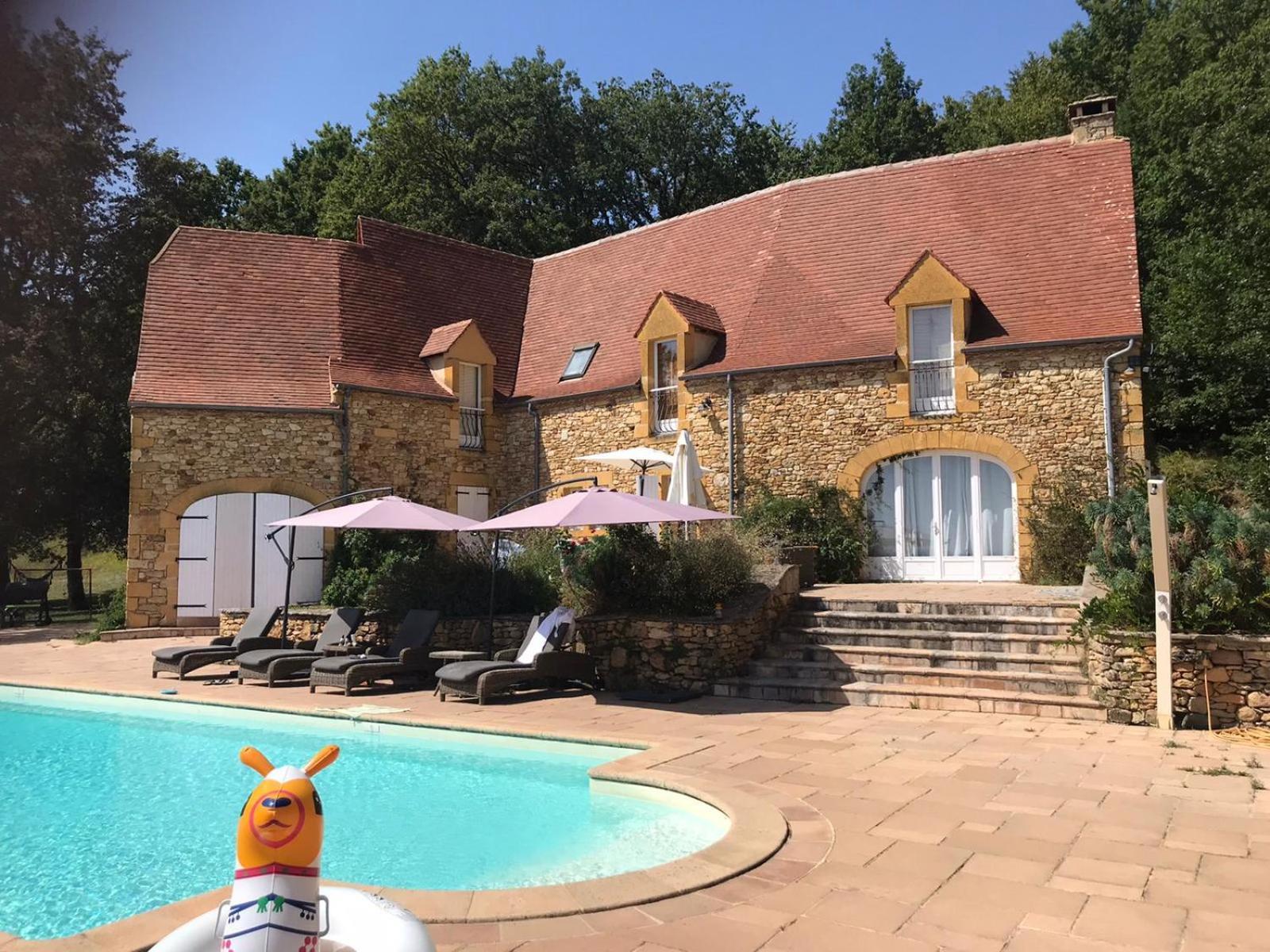 Luxury Chateau W. Pool & Hot Tub In Dordogne Beynac-et-Cazenac Exteriér fotografie